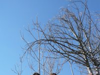 Vinhais-7,8-03-14 (22)
